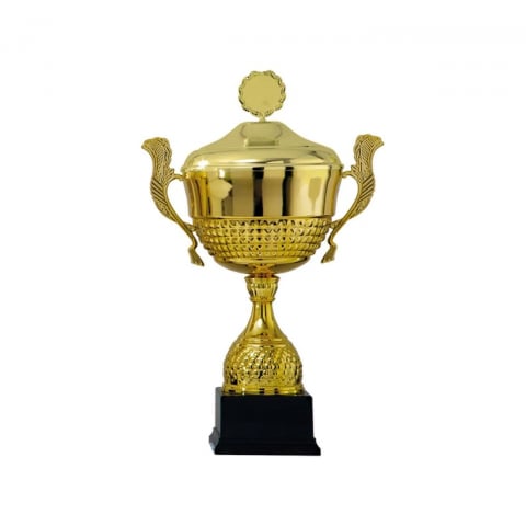 Cupe si trofee - Cupa MK5370