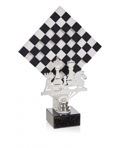 Cupe si trofee - Cupa MS 142 - Sah 27-31 cm