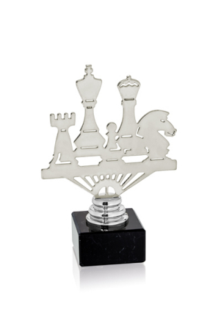 Cupe si trofee - Cupa MS 153 - Sah 16-20 cm