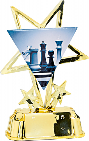 Cupe, trofee si medalii - Cupa MS 144 - Sah 20 cm