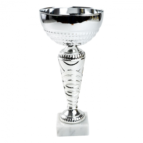 Cupe si trofee - Cupa MS 153 - King64