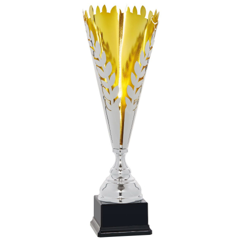 Cupe si trofee - Cupa MS 159
