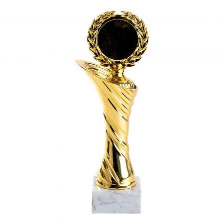 Cupe si trofee - Cupa MS 17