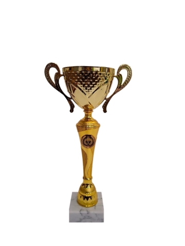 Cupe si trofee - Cupa MS 213, Victoria