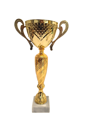 Cupe si trofee - Cupa MS 215, Laurus