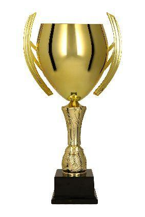 Cupe si trofee - Cupa MS 216, Golden Wings