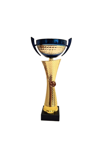 Cupe si trofee - Cupa MS 217, Blue Star