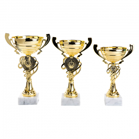 Cupe si trofee - Cupa MS 23