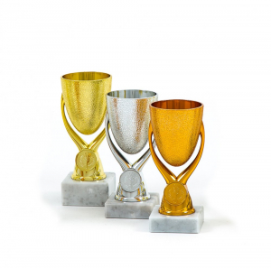 Cupe si trofee - Cupa MS09