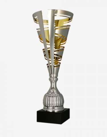 Cupe si trofee - Cupa MS104 - King 64