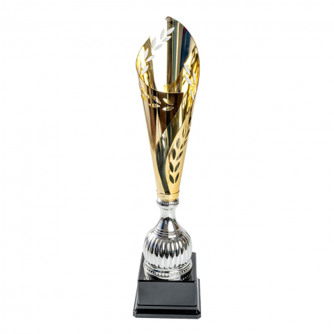 Cupe si trofee - Cupa MS109 - King 64