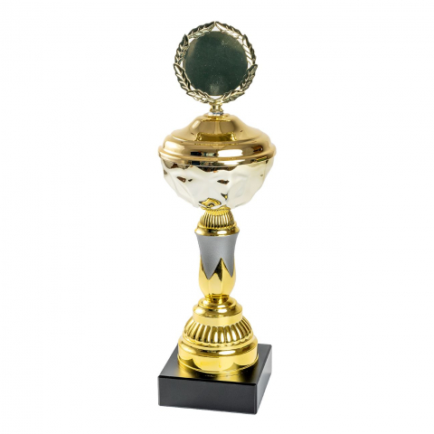 Cupe si trofee - Cupa MS110