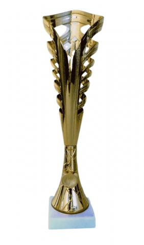 Cupe si trofee - Cupa MS121 - King 64
