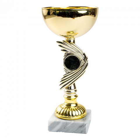 Cupe, trofee si medalii - Cupa MS124 -King64