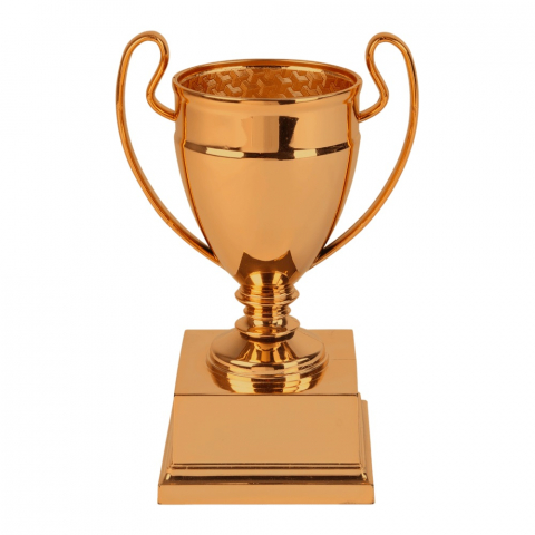 Cupe, trofee si medalii - Cupa MS131- King 64
