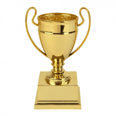 Cupe si trofee - Cupa MS131- King 64
