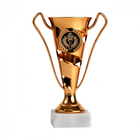 Cupe, trofee si medalii - Cupa MS37