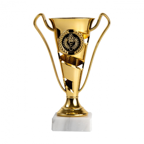 Cupe si trofee - Cupa MS37