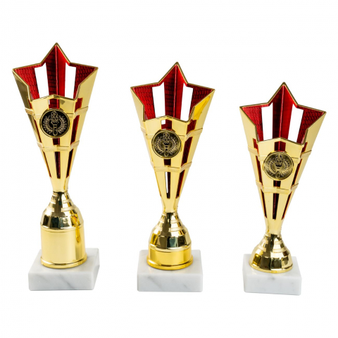 Cupe si trofee - Cupa MS132 - King 64 -