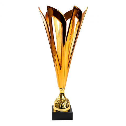 Cupe, trofee si medalii - Cupa MS134 - King 64