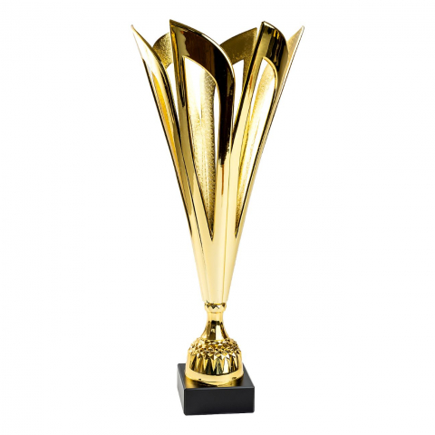 Cupe si trofee - Cupa MS134 - King 64