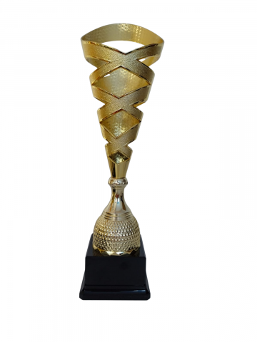 Cupe, trofee si medalii - Cupa MS165 - King 64
