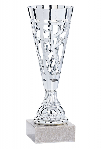Cupe si trofee - Cupa MS154