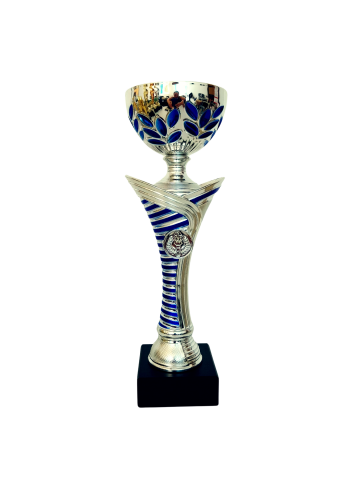 Cupe si trofee - Cupa MS166 - King 64