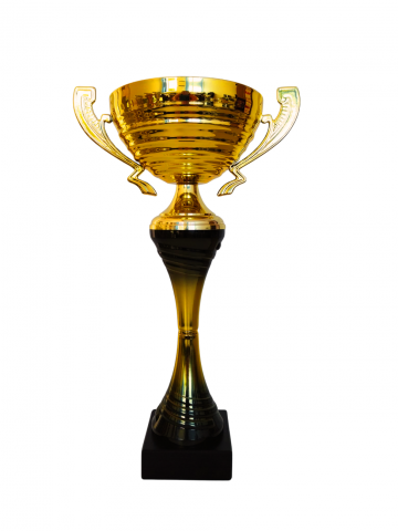 Cupe si trofee - Cupa MS167 - King 64