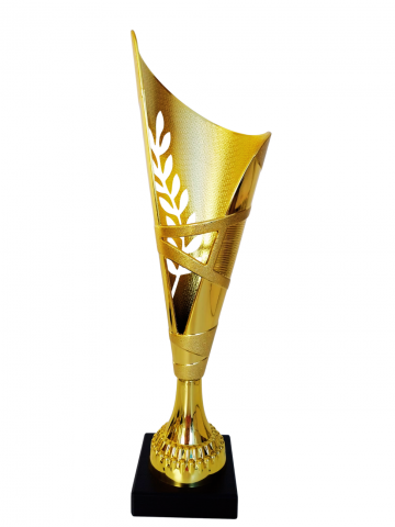 Cupe si trofee - Cupa MS169 - King 64