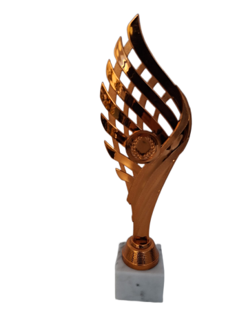 Cupe si trofee - Cupa MS183- King 64