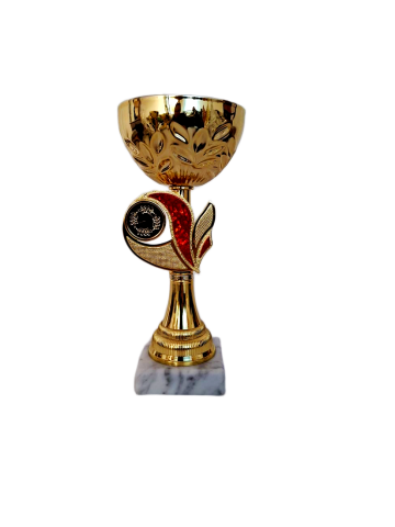 Cupe si trofee - Cupa MS184, Gold-Red