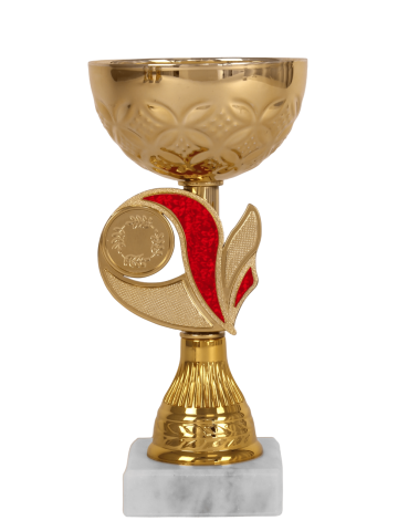Cupe si trofee - Cupa MS184, Gold-Red
