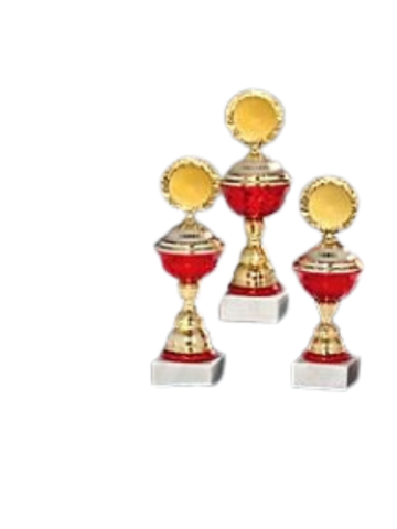 Cupe si trofee - Cupa MS186, Lillie