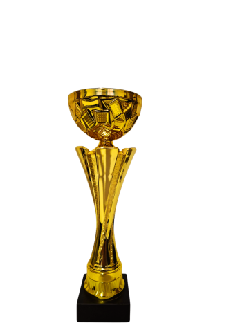 Cupe si trofee - Cupa MS188, Paledo