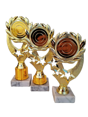 Cupe si trofee - Cupa MS193 Stelar