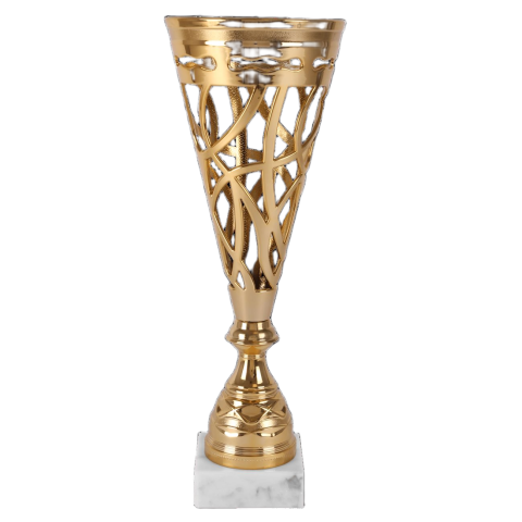 Cupe si trofee - Cupa MS197, King 64