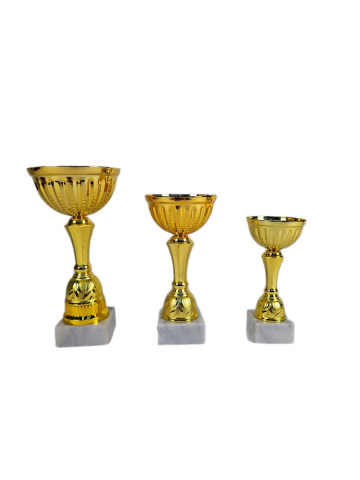 Cupa MS199-King 64 [1]