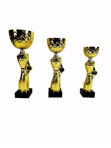 Cupe si trofee - Cupa MS201-King 64