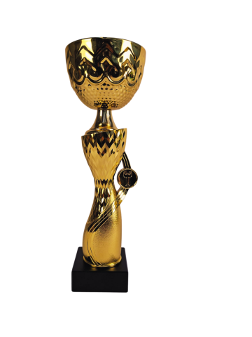 Cupa MS201-King 64 [1]