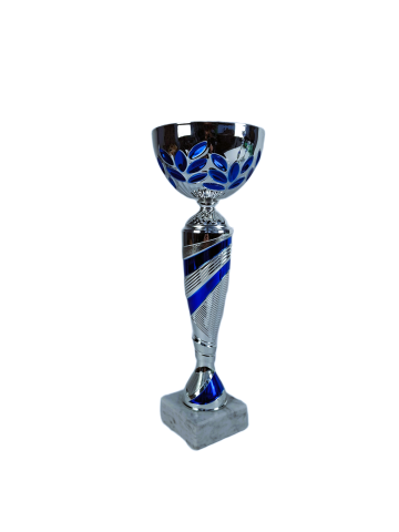Cupe si trofee - Cupa MS202-King 64