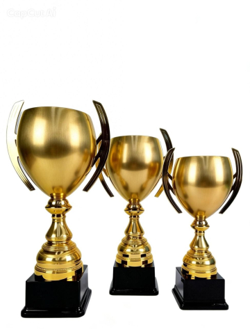 Cupe si trofee - Cupa MS203-King64