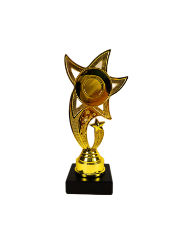 Cupe si trofee - Cupa MS204 Stelar