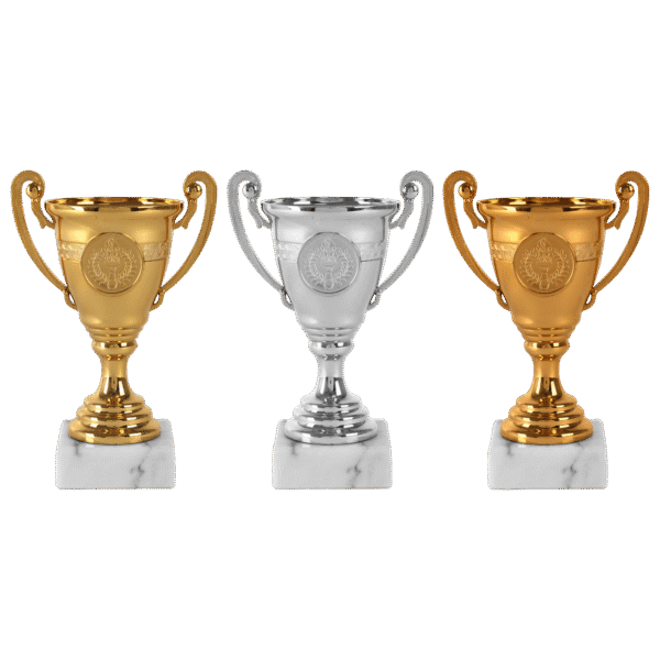 Cupe si trofee - Cupa MS206
