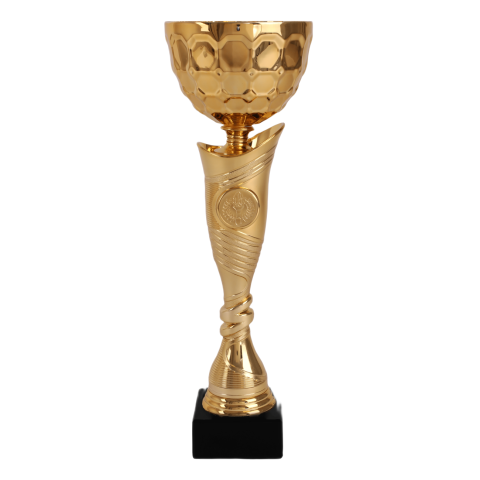 Cupe si trofee - Cupa MS205-King64