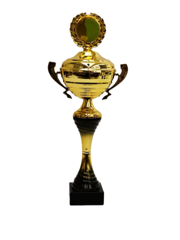 Cupe si trofee - Cupa MS207 cu capac