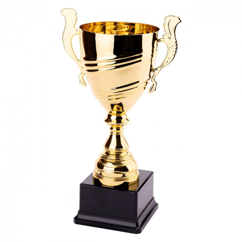 Cupe si trofee - Cupa MS67- King64
