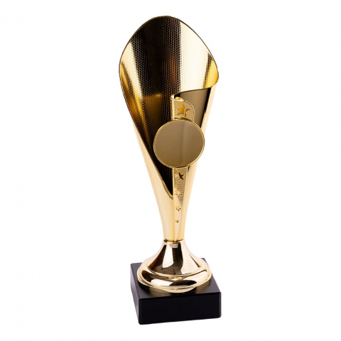 Cupe si trofee - Cupa MS38
