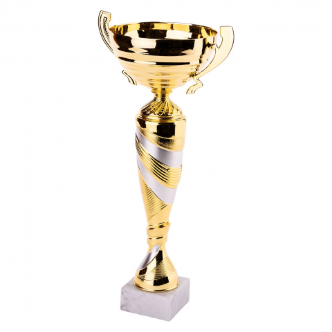 Cupe si trofee - Cupa MS48 - King 64