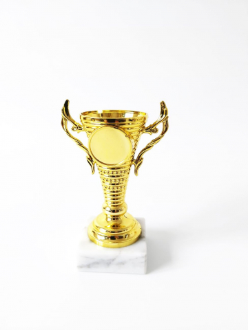 Cupe si trofee - Cupa MS56-King64